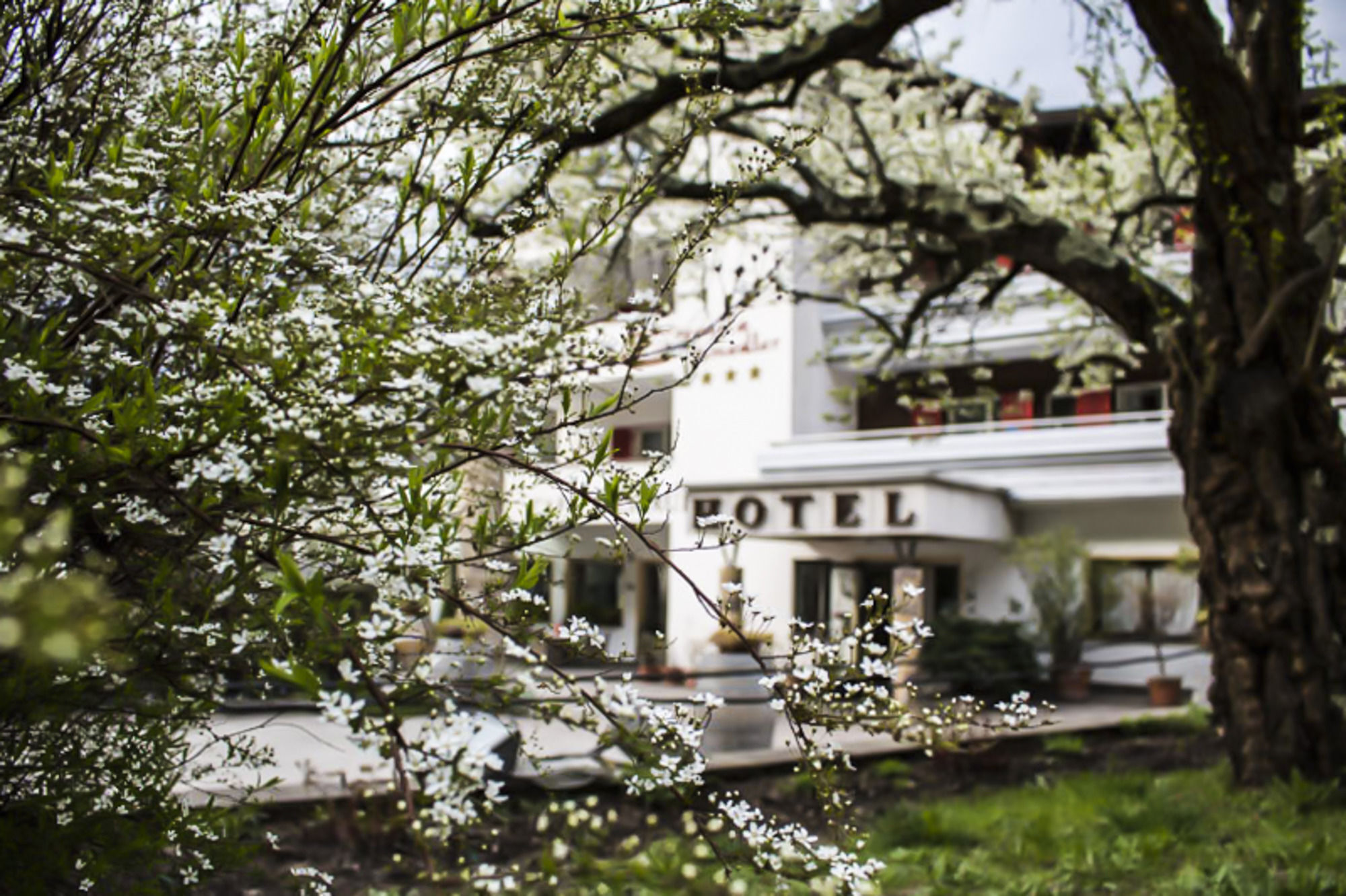 Prinz Rudolf Smart Hotel Merano Eksteriør bilde